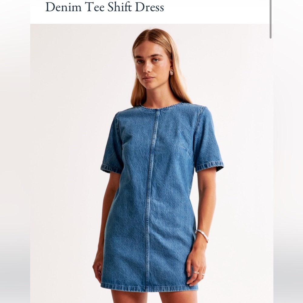 Abercrombie Denim Tee Shift Dress Mini